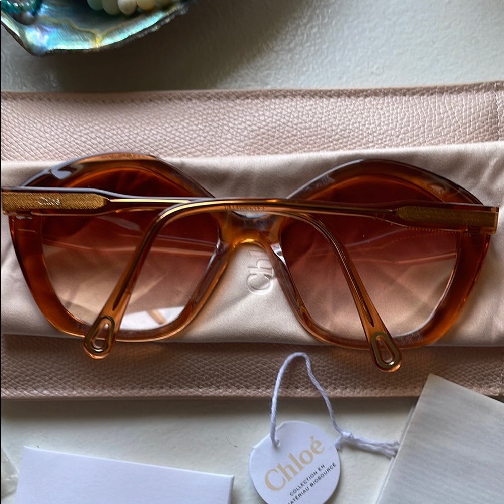Chloe Sunglasses in Pink and Brown - Picture 6 of 16